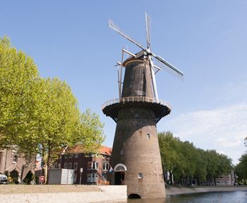 Windmill De Walvisch