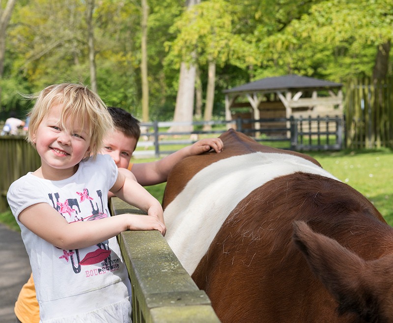 Kinderboerderij 't Hoefblad 