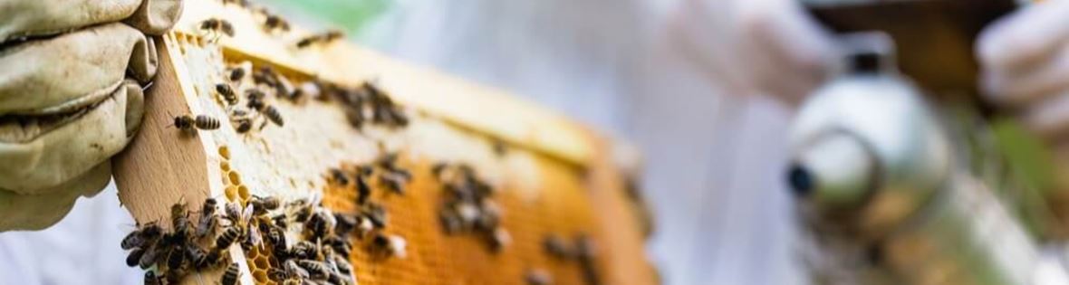 Avontuurlijke reizigers Travander bezochten Serious Bee Distillers  
